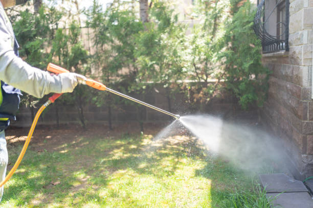 Best Rodent Control Near Me  in Mission Nyon, CA