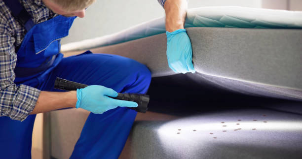 Best Commercial Pest Control Services  in Mission Nyon, CA